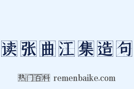 读张曲江集造句是什么意思的图片
